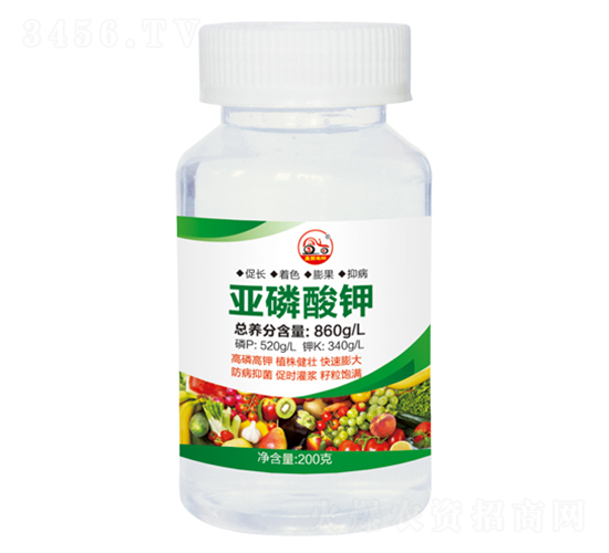 �������-ʢ������