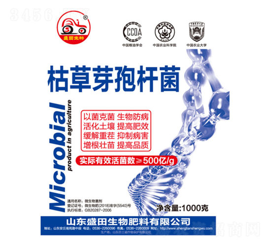 �ݲ�ѿ�ߗU��-ʢ������