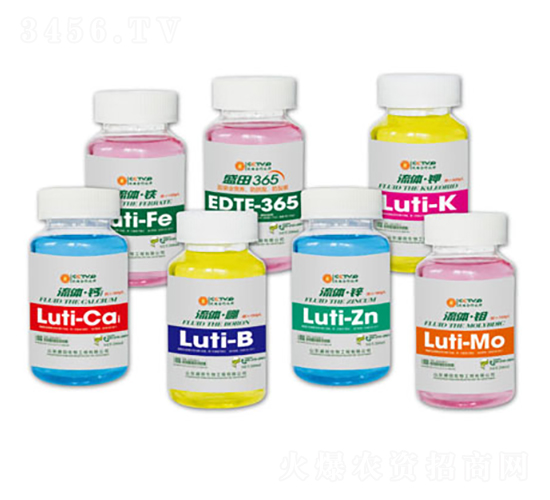 ���w΢��-ʢ������