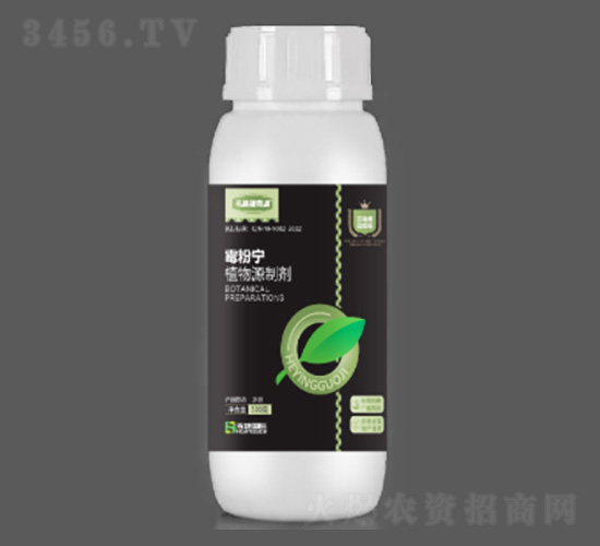 500gù�ی�-�̷f����