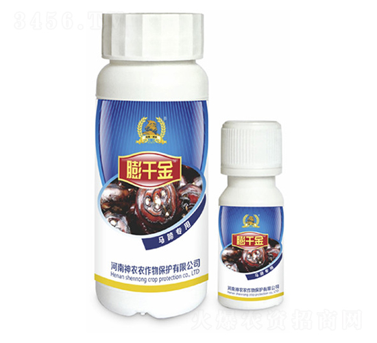 �R�㌣���~���-��ǧ��-�������r(n��ng)