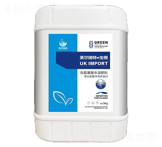 Ӣ����������-���r����