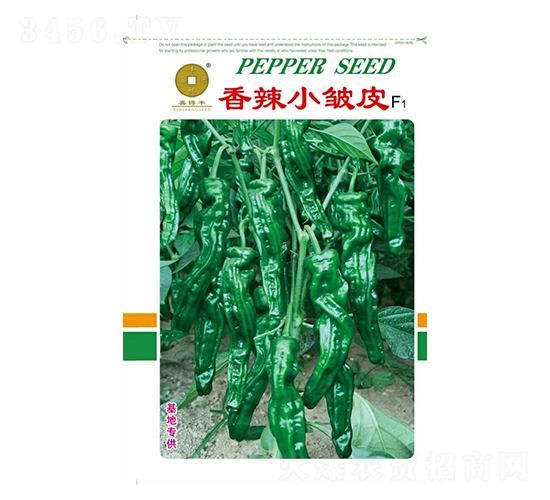 ����С��ƤF1-�����N��-�A��N�I(y��)