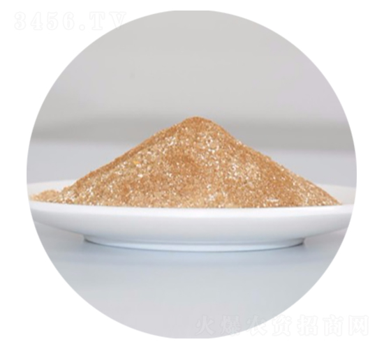 �ͺ��������-�����_