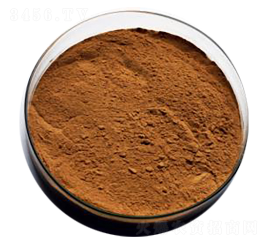 �����ѿ�ߗU��-��ɏ���