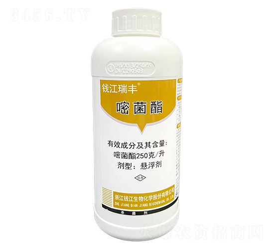 250��/���׾����Ҹ���-�X�����S-�X������