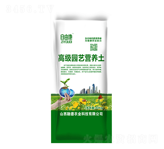 �߼��@ˇ�I�B(y��ng)��-���ɵ�-�ڵ��r(n��ng)�I(y��)