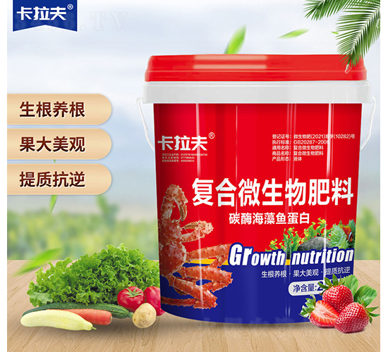 �ͺ�΢�������-̼ø�����~����-������