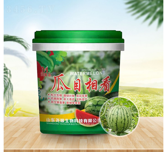 ��Ŀ�࿴-�������