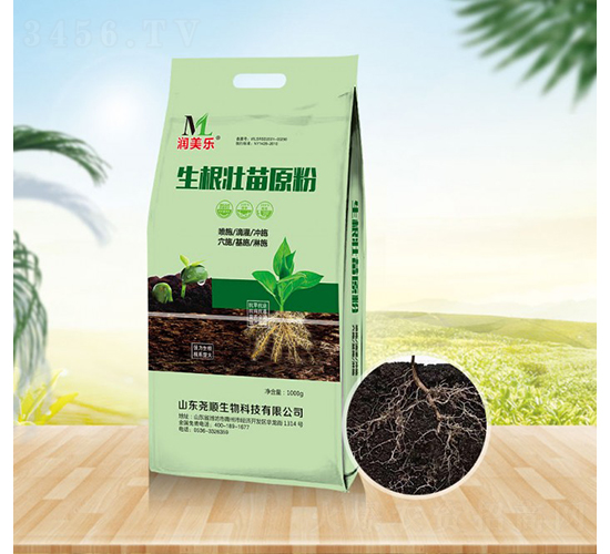 ��������ԭ��-�������