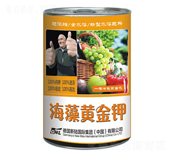 �����S���-�»����