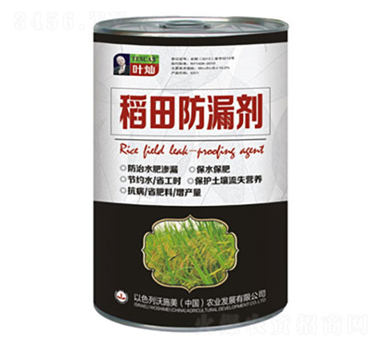 �����©��-�»����