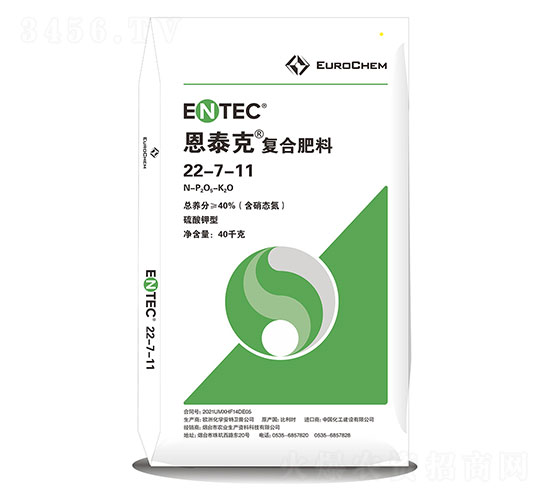 ��̩�ˏ�(f��)�Ϸ�22-7-11-���·���