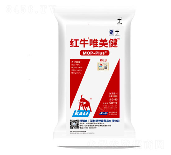 �tţΨ����-���·���