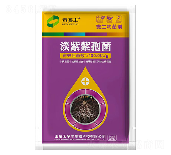 �������߾�-�̶��S