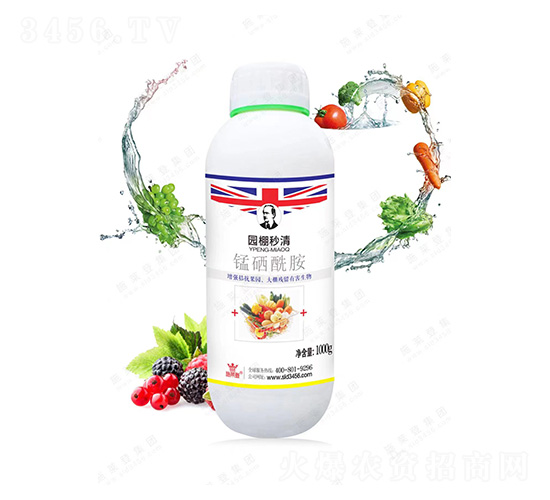 �i������-�@������-ʩ�R��