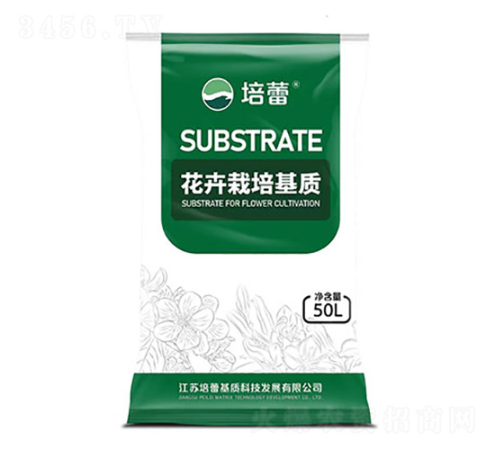 ������ľ������|(zh��)-����