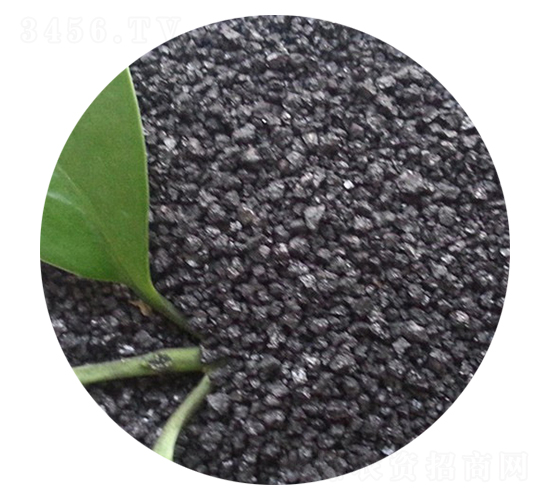 ��ֲ���-�ֵ��S