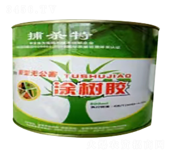 Ϳ���z-������-�f��