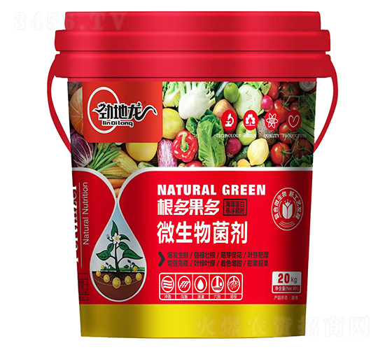 �������-���嵰�בҸ�����-�ŵ���