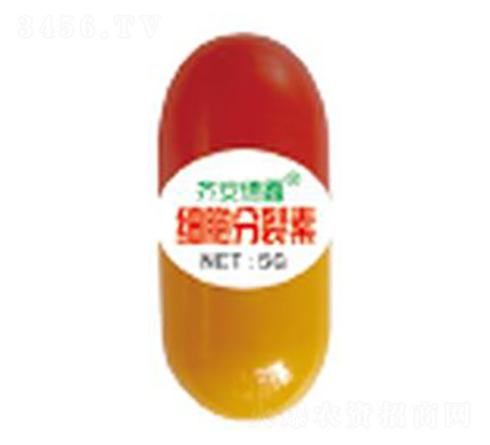 5g��(x��)��������-��������