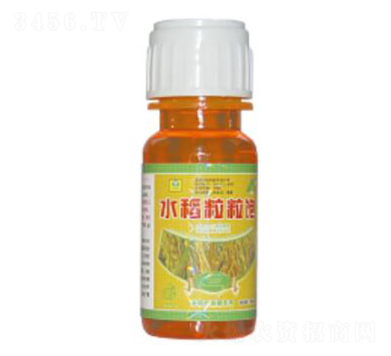 ˮ�������-��������