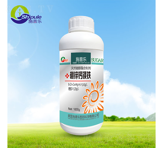 ���\�}�V�F-����-ʩ�՘�(l��)