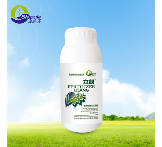 ����-ʩ�՘�