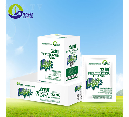 �����M(j��n)�ڷ��b����-ʩ�՘�(l��)