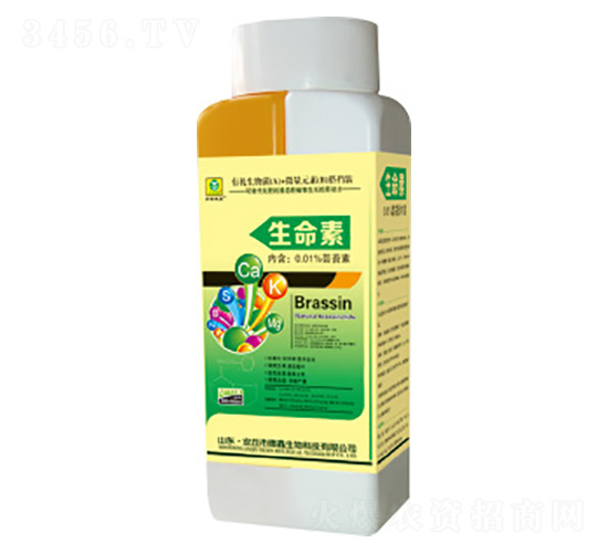 100ml������-��������