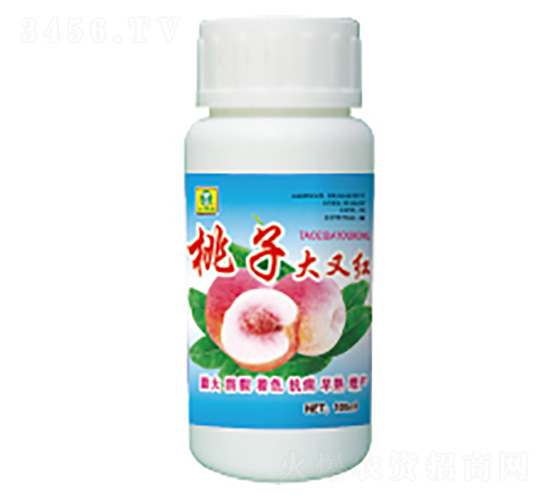 ���Ӵ��ּt-��������