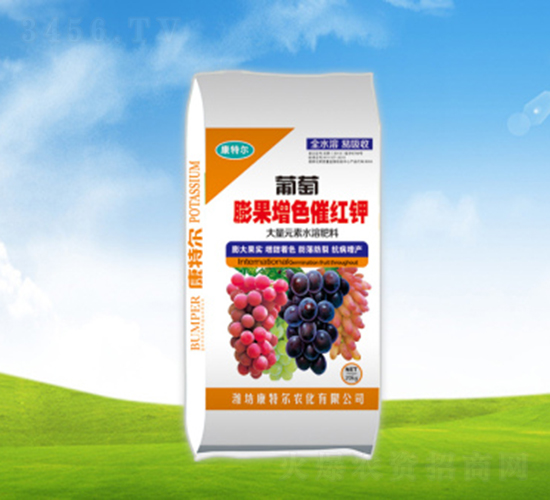 ���������ɫ�߼t�-���ؠ��r(n��ng)��