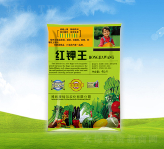 �t���-���ؠ��r(n��ng)��