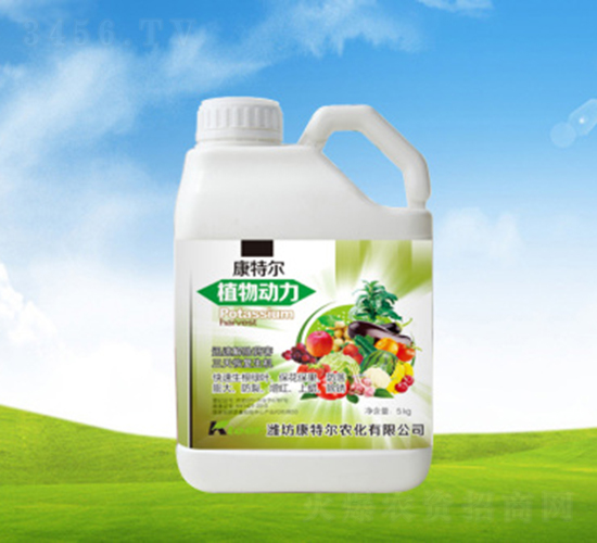 ֲ���(d��ng)��-���ؠ��r(n��ng)��