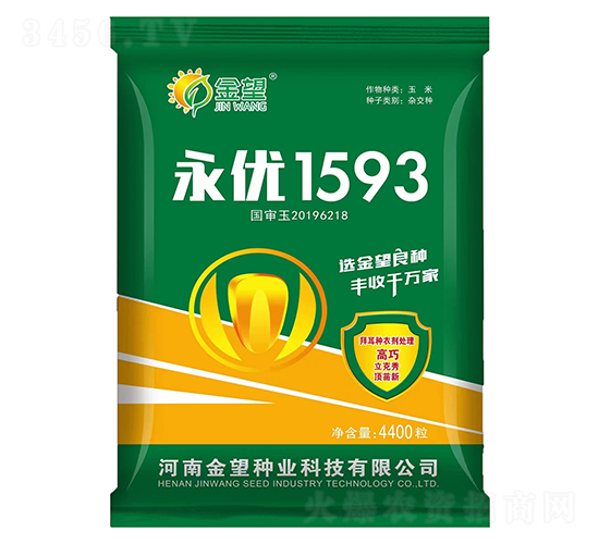 ����(y��u)1593-���׷N��-�����N�I(y��)