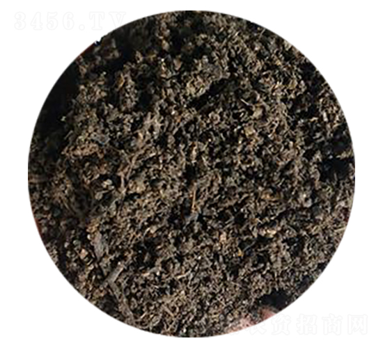 ��S�w����-��������