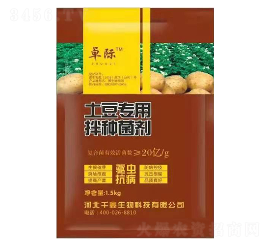 �������ð�N����-ǧ������