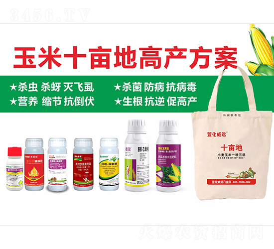 ����ʮ���ظ߮a(ch��n)����-�滯���h(yu��n)