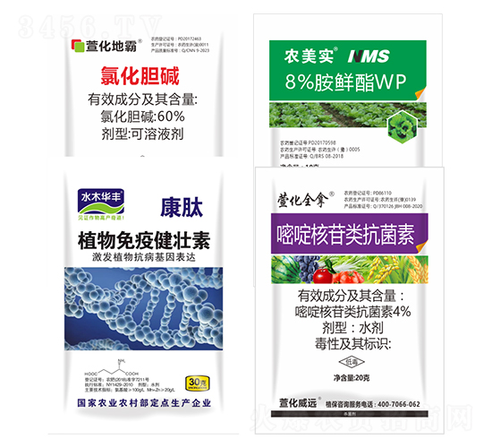 �Ȼ�đ�A+ֲ�����߽�����+��ऺ��������+8%���r��WP-�滯���h(yu��n)