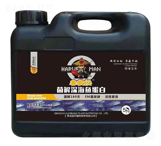 ������~����-�S�Ղb-����ֲ��