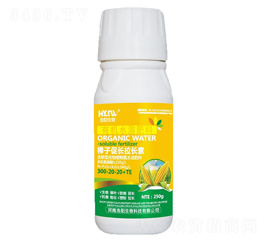 ���Ӵ��L���L��-�������