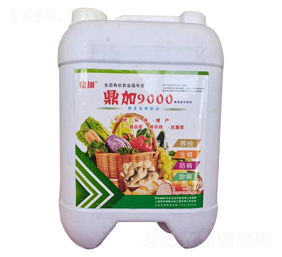 ����9000����ͺ��Ƅ�-����