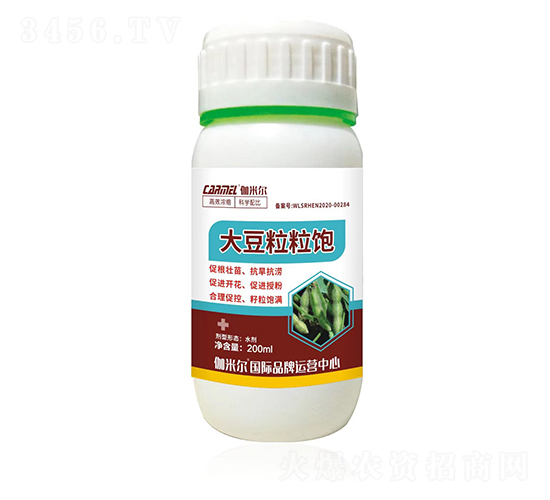 �������-٤�נ�-�_˼ķ