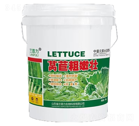 �n�S���ۉ�-�m����