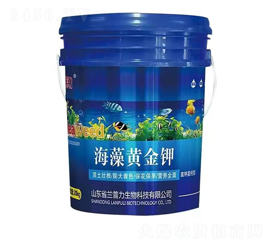 ��⛸��}��-�����S���-�m����