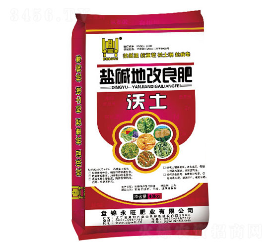 �}�A�ظ�����-����-�����ʘI(y��)