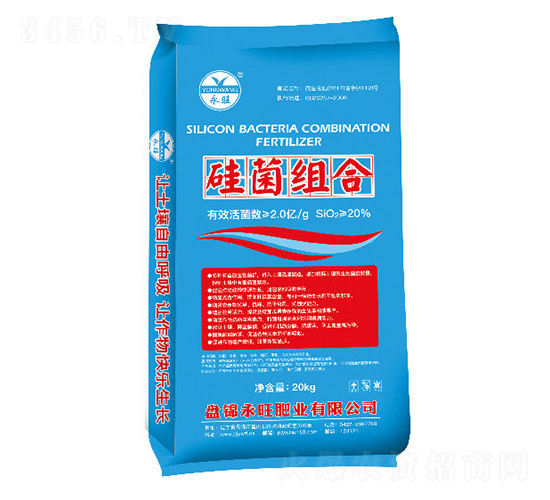 ����M��-�����ʘI(y��)