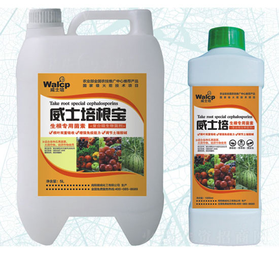 ��ʿ�����-����