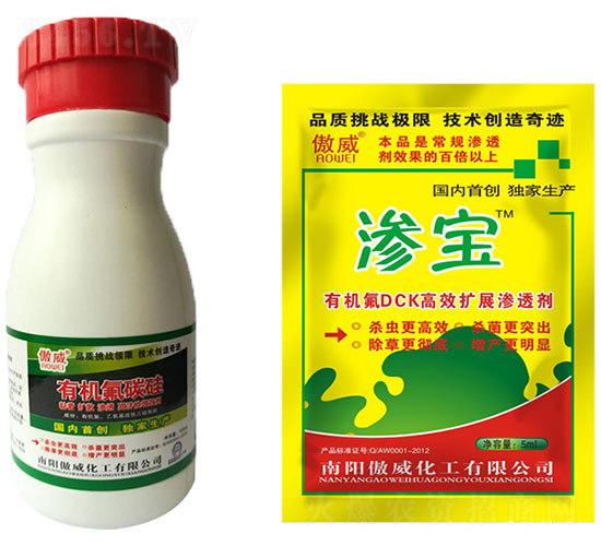 �ЙC��̼��-����