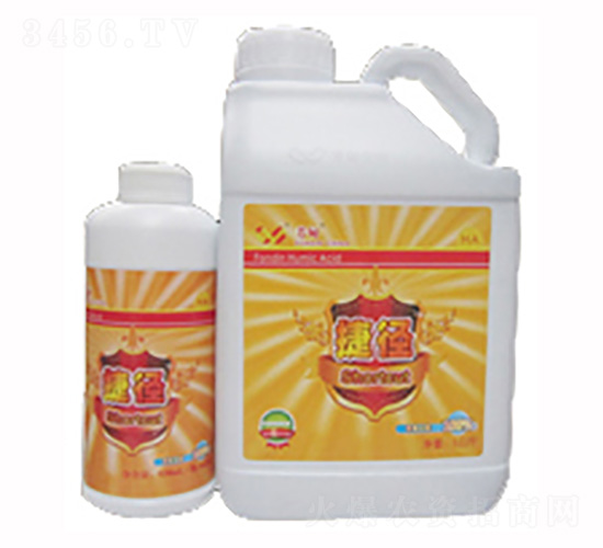 �ݏ�-���|���r(n��ng)�I(y��)